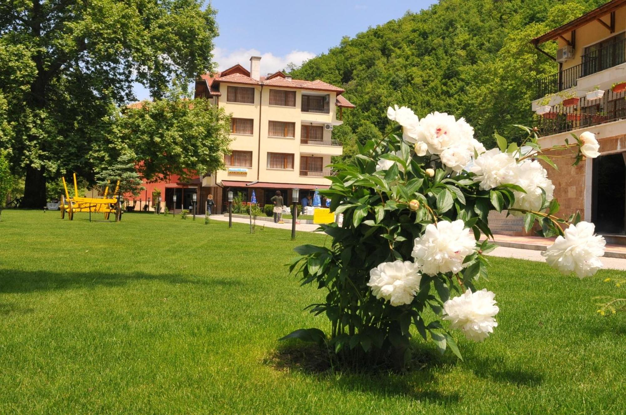 Family Hotel Delta Ognyanovo  Eksteriør billede