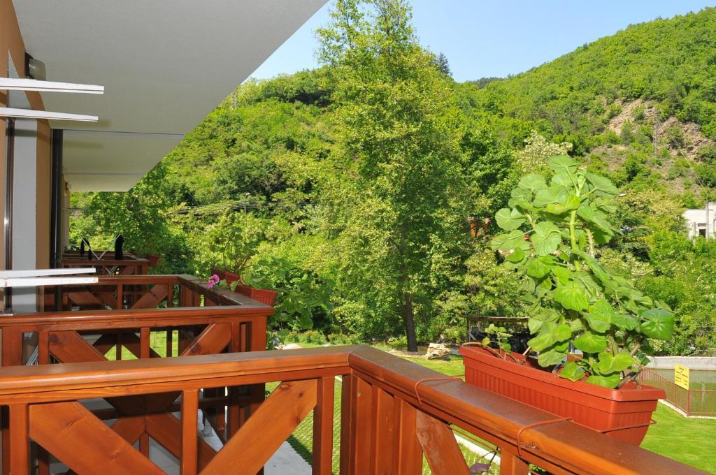 Family Hotel Delta Ognyanovo  Eksteriør billede